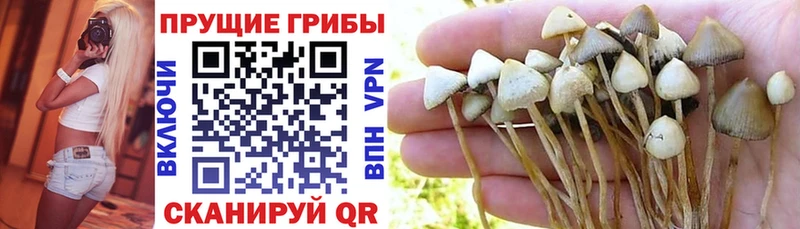 Псилоцибиновые грибы ЛСД  мориарти состав  Салаир 