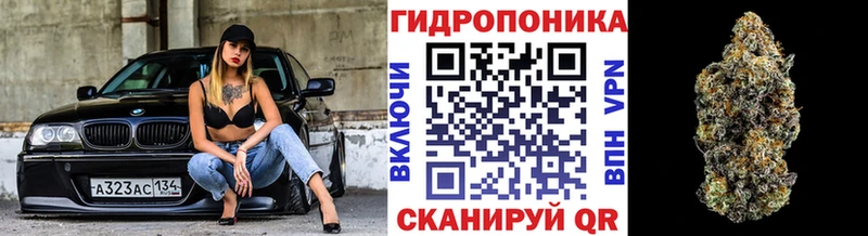 omg маркетплейс  Салаир  Марихуана THC 21% 